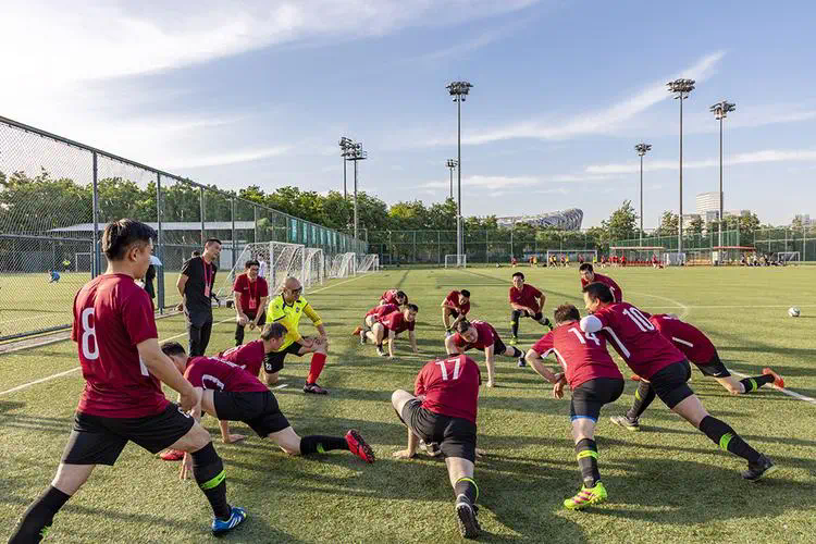 学生网球拍初学者选择哪种