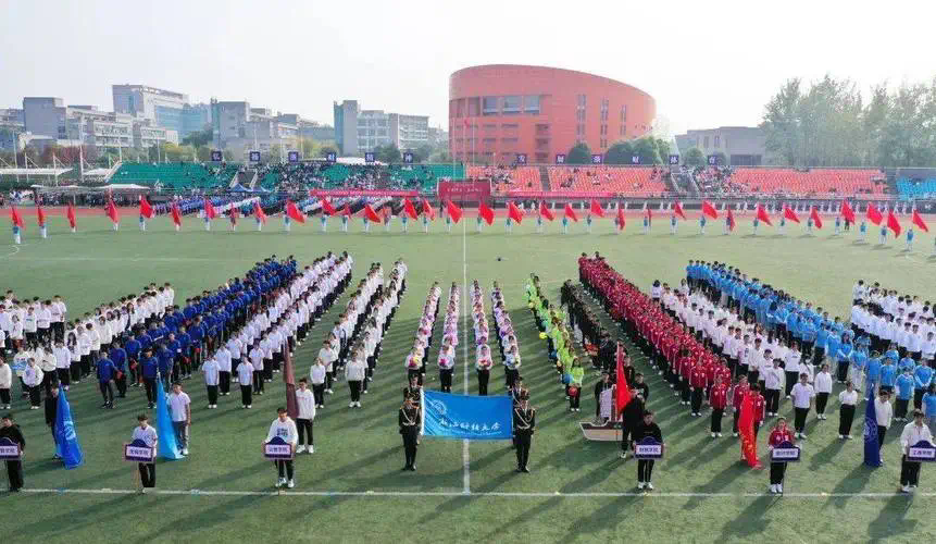 威尔逊网球拍290克